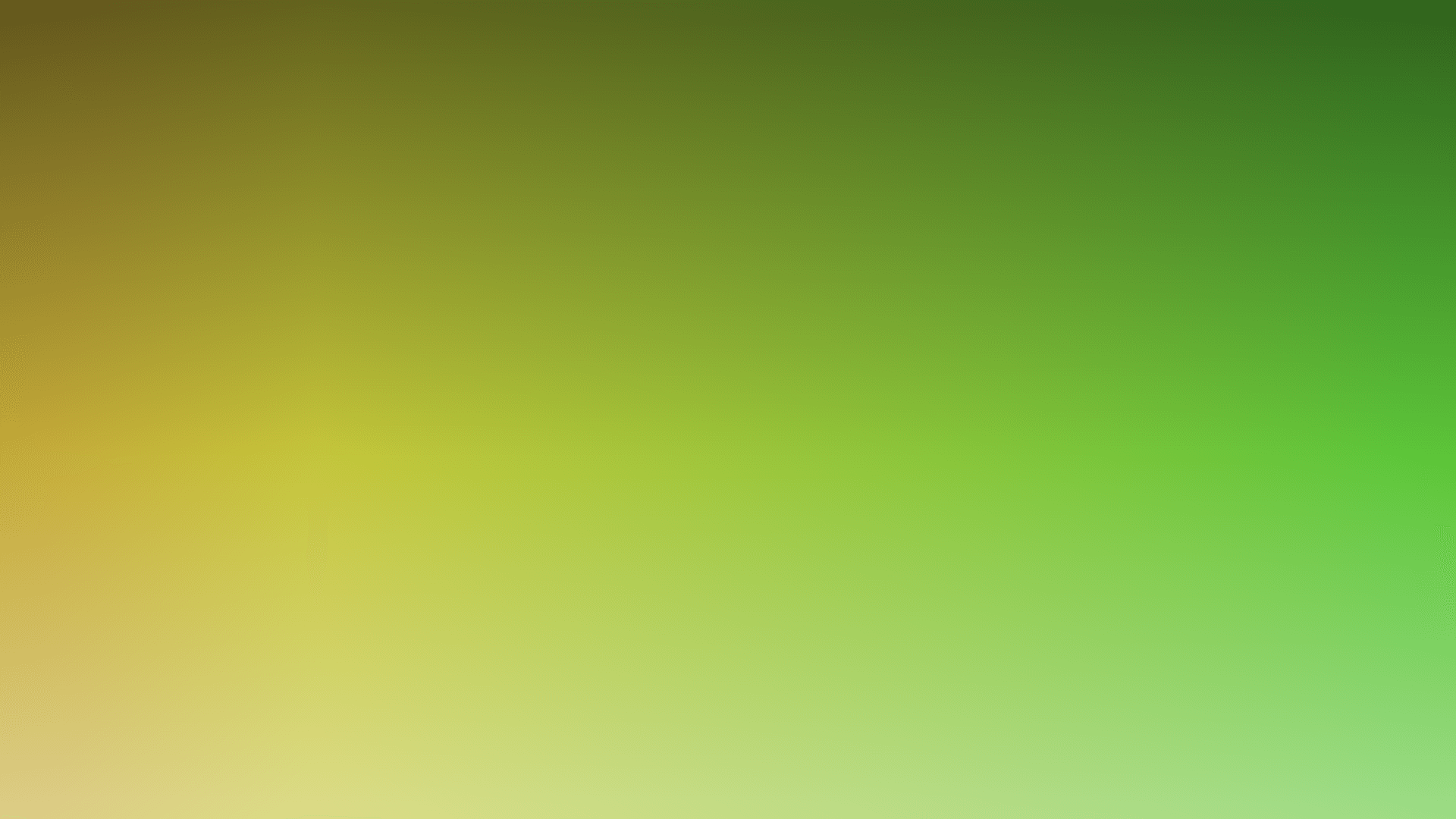 Sea Surface Temperature anomaly, summer 2026